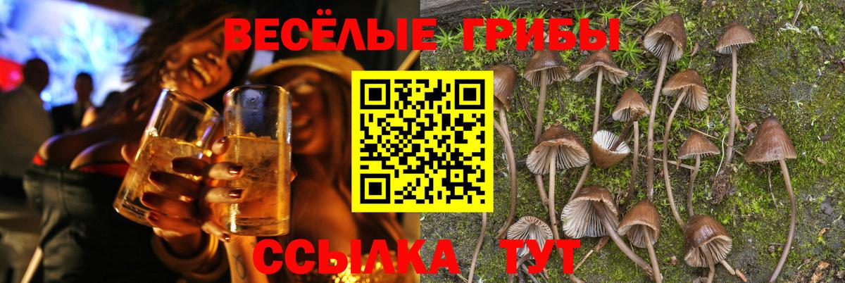 Гашиш  Комсомольск-на-Амуре  Бошки Шишки  Кокаин  Меф МЯУ МЯУ   Вход с VPN 