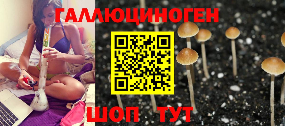 Комсомольск-на-Амуре  Псилоцибиновые грибы мухоморы  Галлюциногенные грибы Magic Shrooms  Вход с VPN 